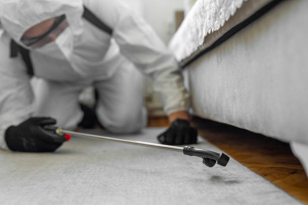 Professional Ant Control technician working in Lacoochee, FL