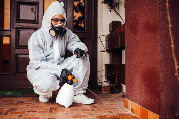 Reliable Ant Control contractor in Lacoochee, FL by Nex Pest Control